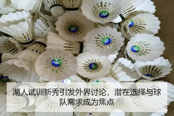 湖人试训新秀引发外界讨论，潜在选择与球队需求成为焦点 - hth